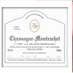 BACHELET RAMONET GD...