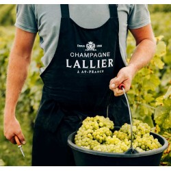 LALLIER CUVEE BRUT RESERVE