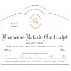 BACHELET RAMONET  Bienvenue...